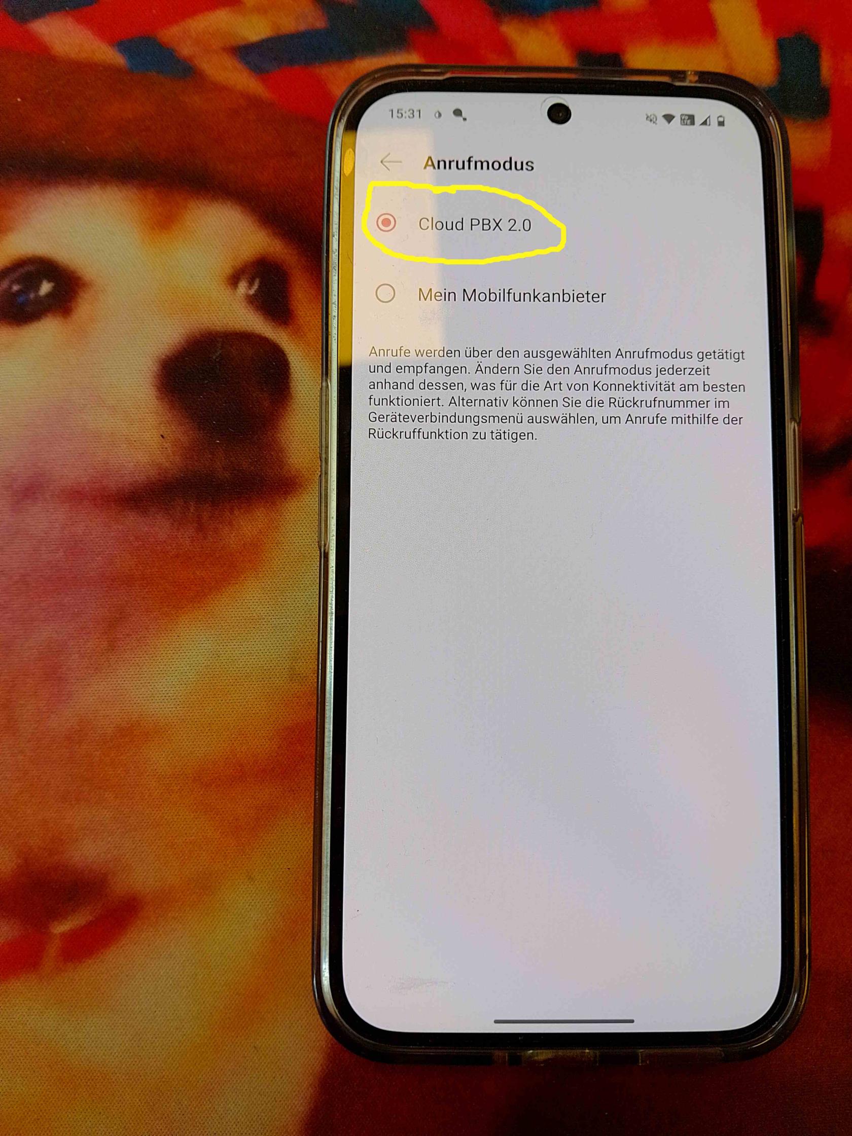 DeutscheTelekom_Anrufmodus_5.jpg