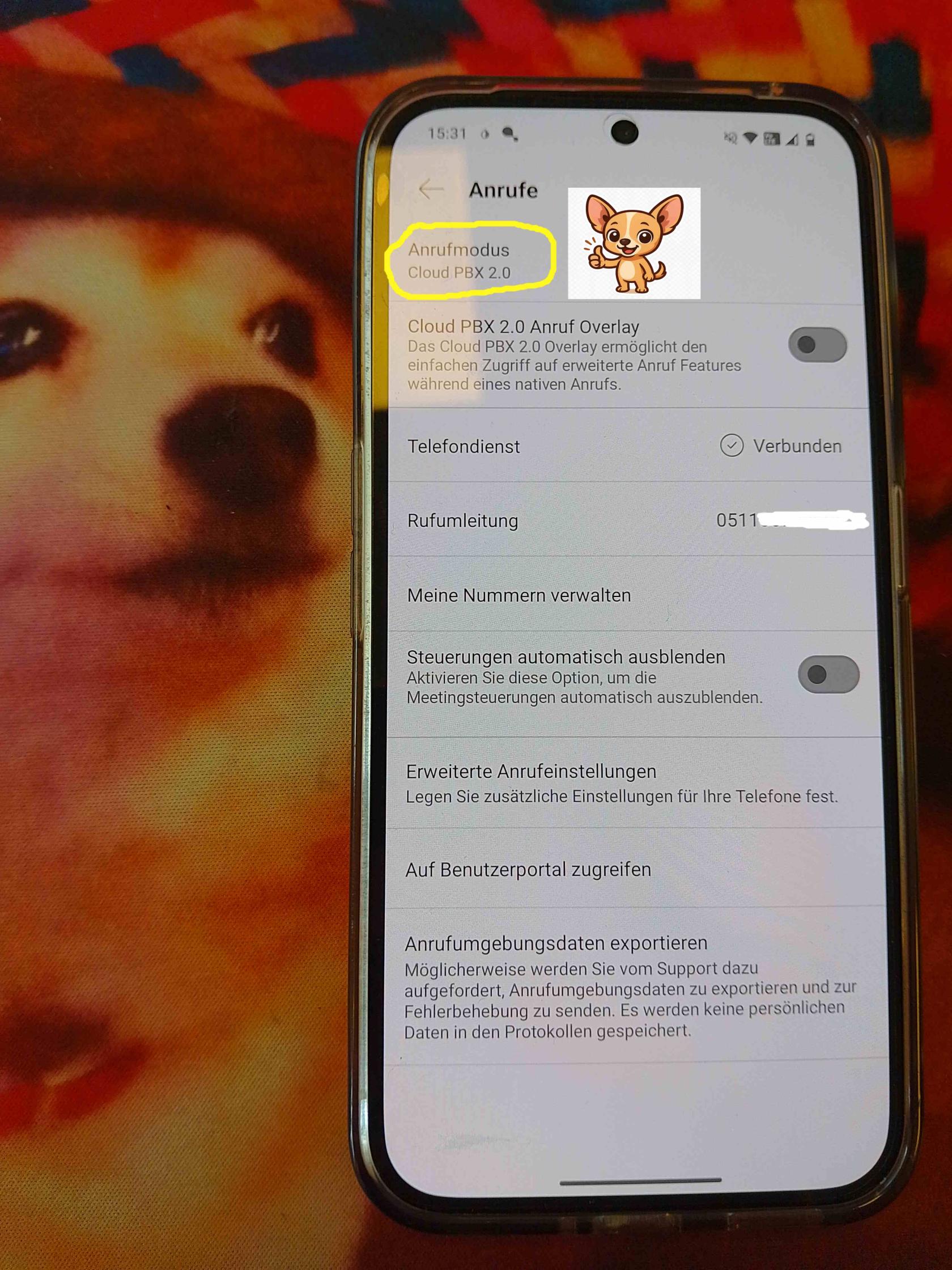 DeutscheTelekom_Anrufmodus_6.jpg