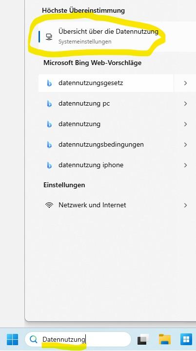 Windows_Datennutzung_Nutzungsstatistiken_suchen.jpg